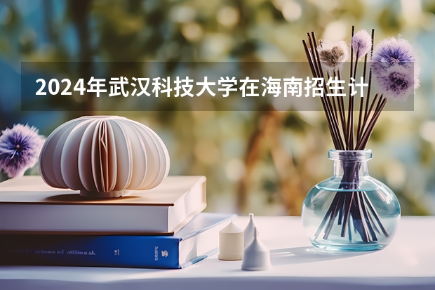 2024年武汉科技大学在海南招生计划（招生人数）