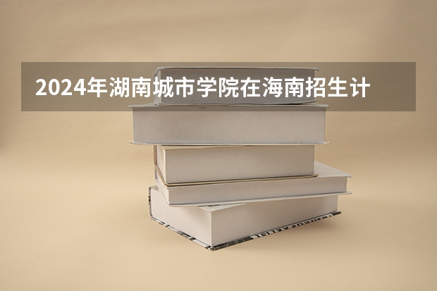 2024年湖南城市学院在海南招生计划（招生人数）