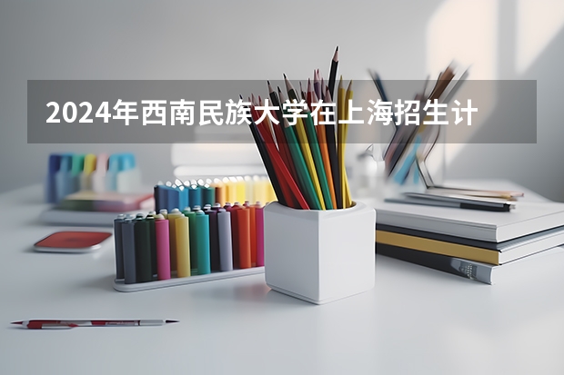 2024年西南民族大学在上海招生计划（招生人数）