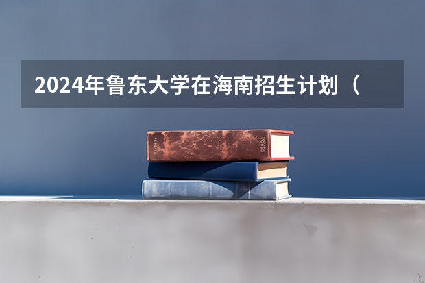 2024年鲁东大学在海南招生计划（招生人数）
