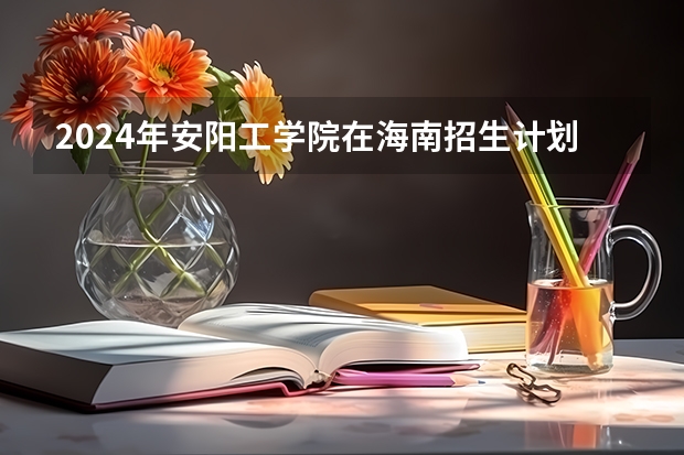 2024年安阳工学院在海南招生计划（招生人数）