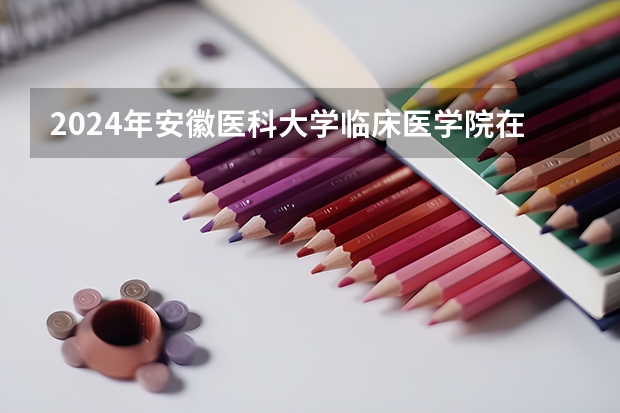 2024年安徽医科大学临床医学院在上海招生计划（招生人数）