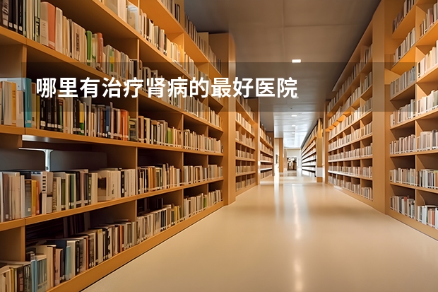 哪里有治疗肾病的最好医院