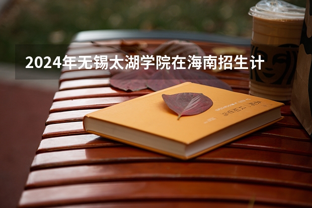 2024年无锡太湖学院在海南招生计划（招生人数）