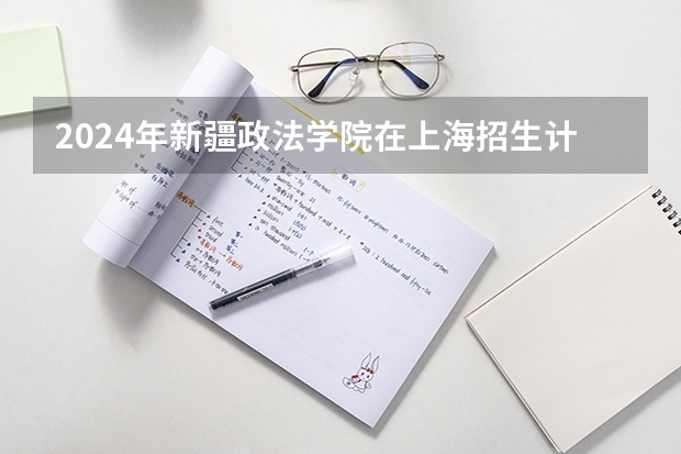 2024年新疆政法学院在上海招生计划（招生人数）
