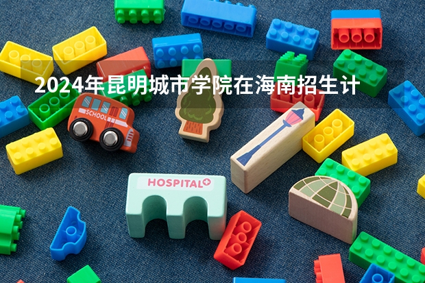 2024年昆明城市学院在海南招生计划（招生人数）