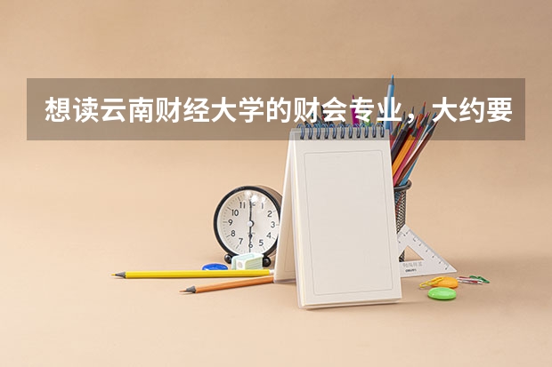 想读云南财经大学的财会专业,大约要多少分?(我是云南考生)