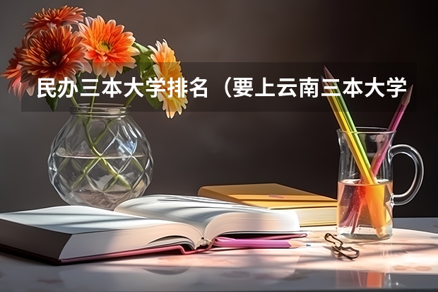民办三本大学排名（要上云南三本大学）