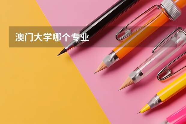 澳门大学哪个专业