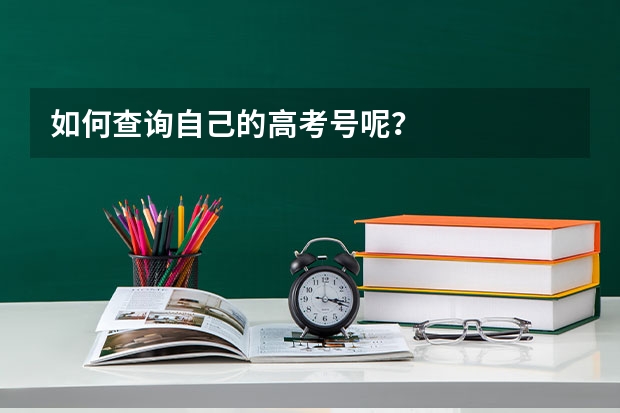如何查询自己的高考号呢？