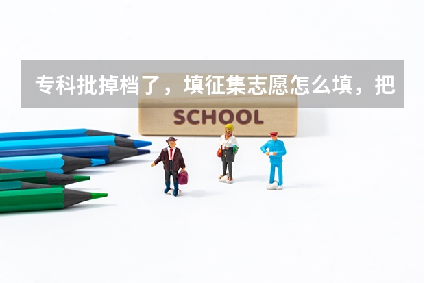 专科批掉档了，填征集志愿怎么填，把握大吗？