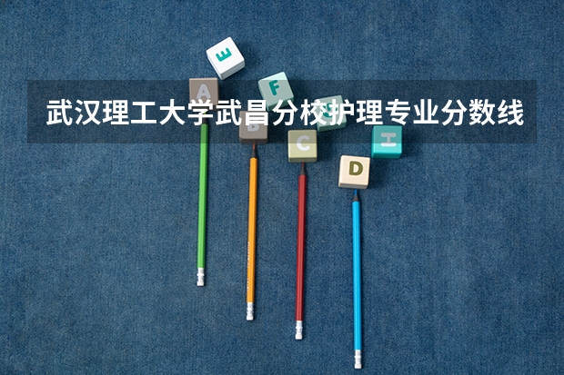 武汉理工大学武昌分校护理专业分数线是多少