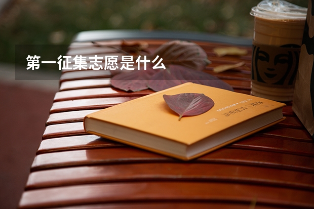 第一征集志愿是什么