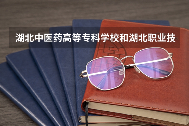 湖北中医药高等专科学校和湖北职业技术学院哪个好