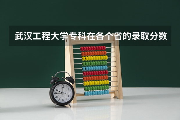 武汉工程大学专科在各个省的录取分数线是多少啊？