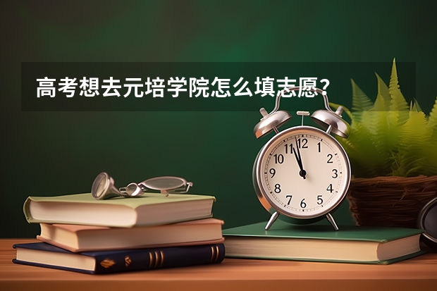 高考想去元培学院怎么填志愿？