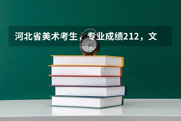 河北省美术考生，专业成绩212，文化成绩差一分没到提前批提档线，可以走哪些好点的学校