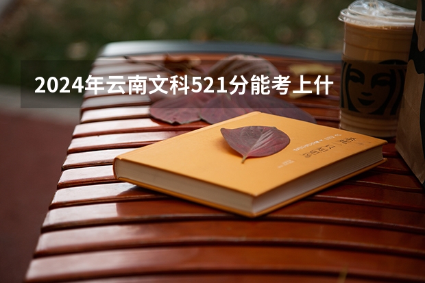 2024年云南文科521分能考上什么大学?