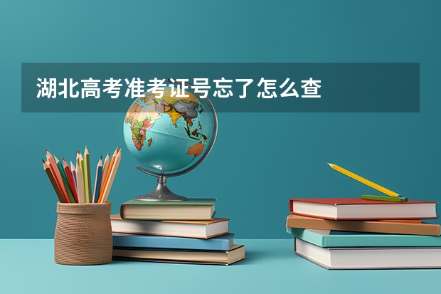湖北高考准考证号忘了怎么查