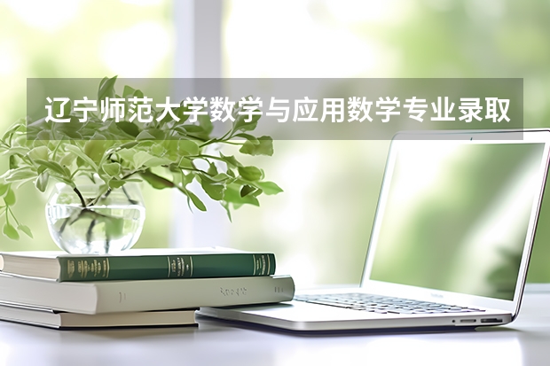 辽宁师范大学数学与应用数学专业录取分数线（聊城大学数学专业四级分数线）