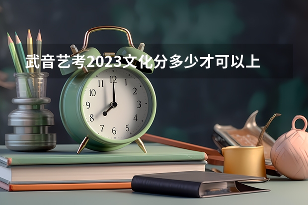 武音艺考2023文化分多少才可以上