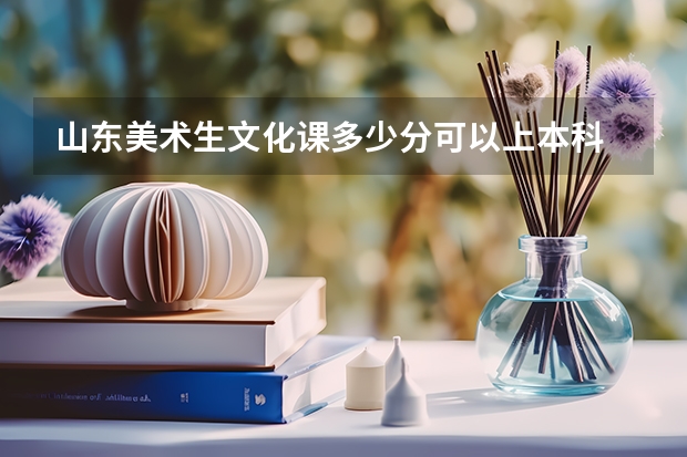山东美术生文化课多少分可以上本科