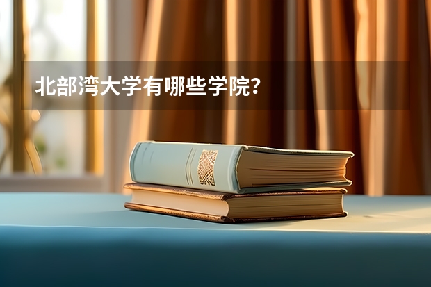 北部湾大学有哪些学院？