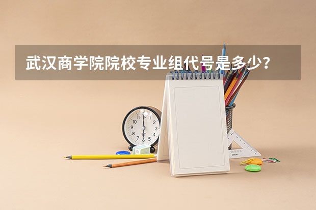 武汉商学院院校专业组代号是多少？