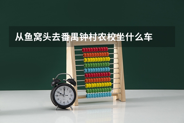 从鱼窝头去番禺钟村农校坐什么车