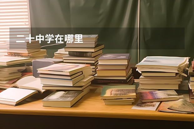 二十中学在哪里