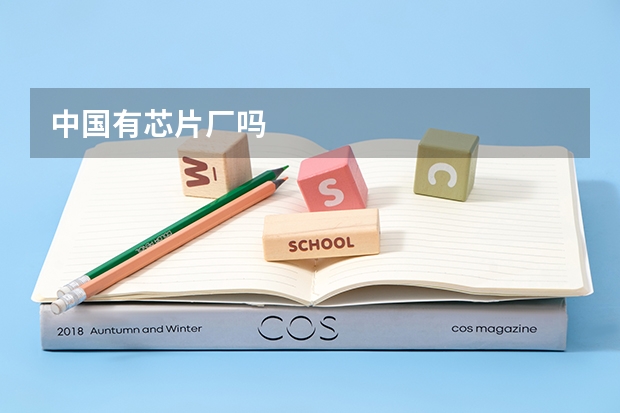 中国有芯片厂吗
