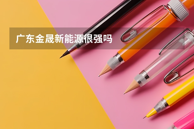 广东金晟新能源很强吗
