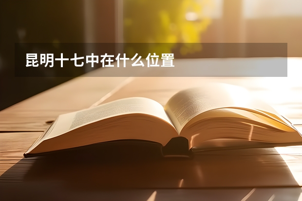 昆明十七中在什么位置
